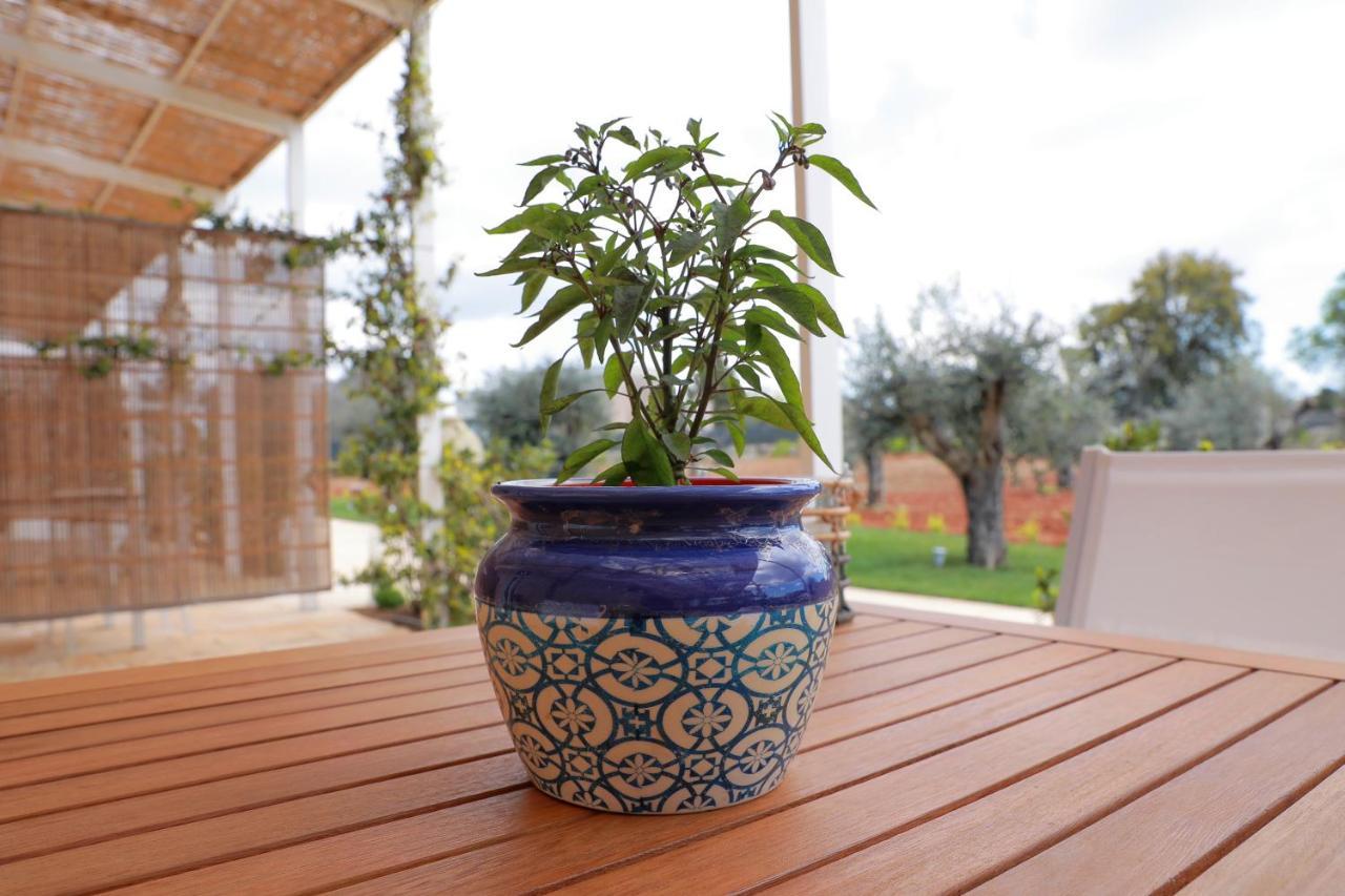Tenuta Cesarina أليسانو المظهر الخارجي الصورة