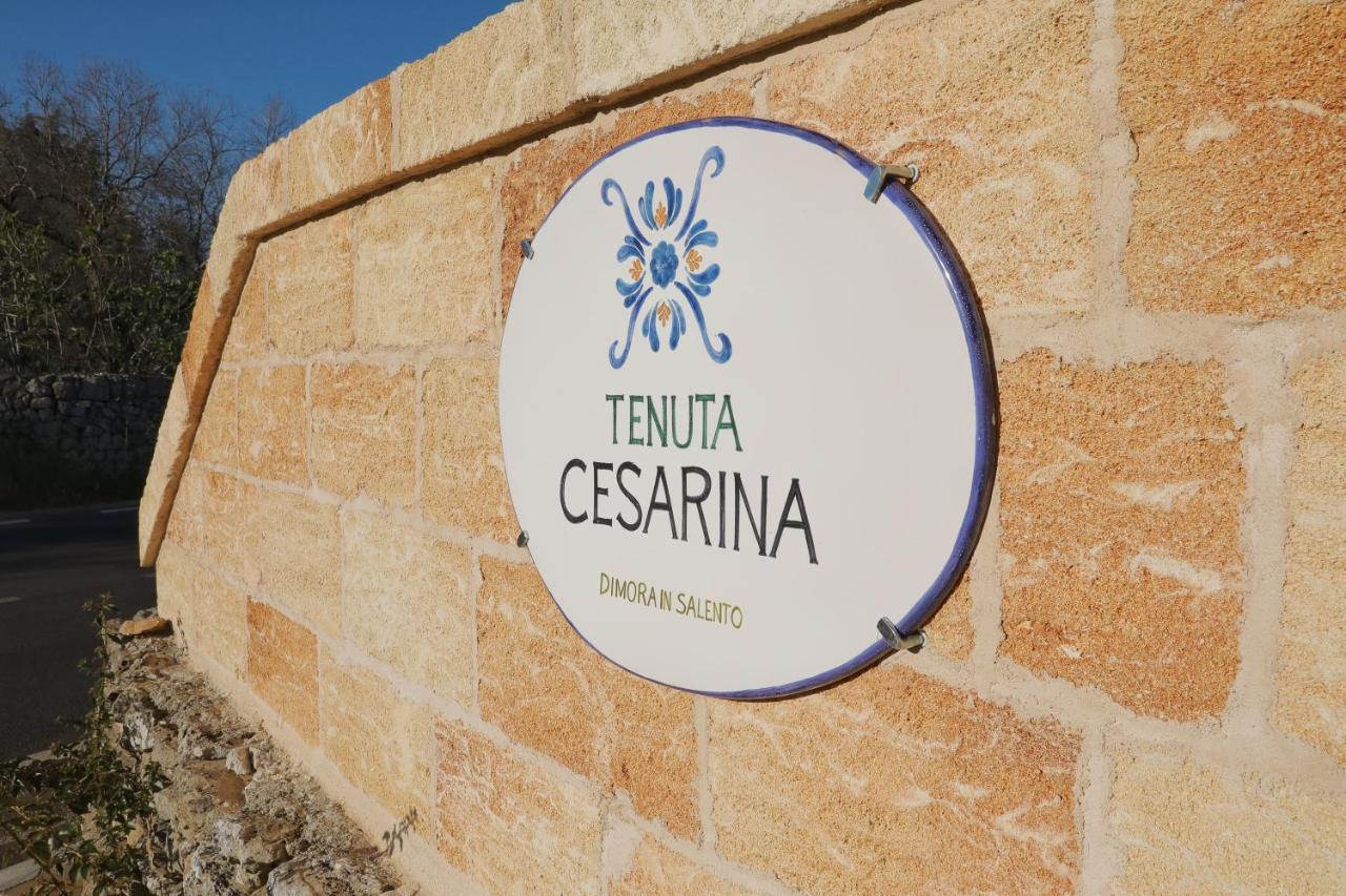Tenuta Cesarina أليسانو المظهر الخارجي الصورة